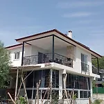 Gelinkizi