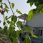 Gelinkizi * Karginkuru
