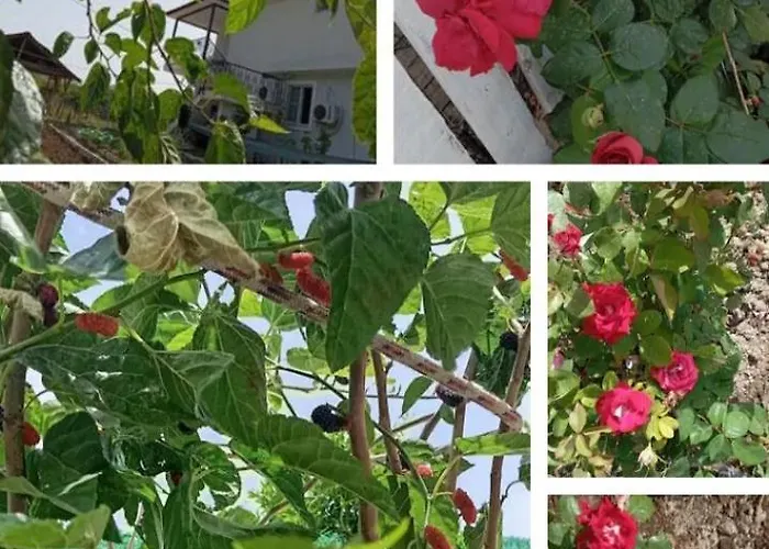 Gelinkizi Aparthotel